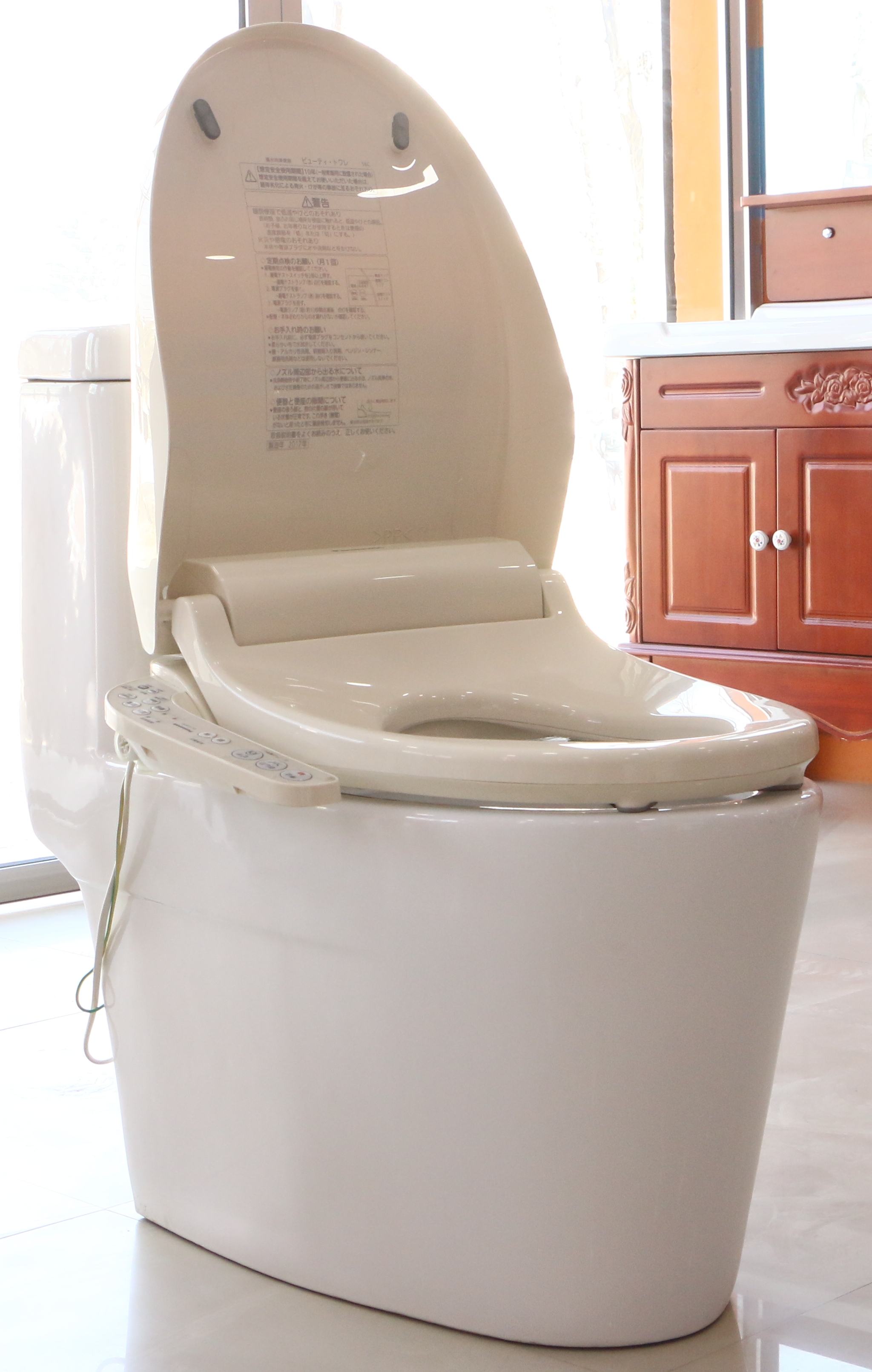 Homtek Sanitary Ware Panasonic Automatic Toilet With Armrest